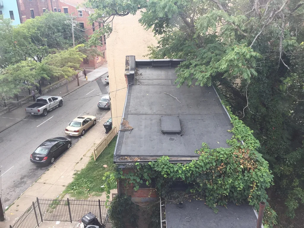 A street of brick row houses with a tree, in a 4:3 frame