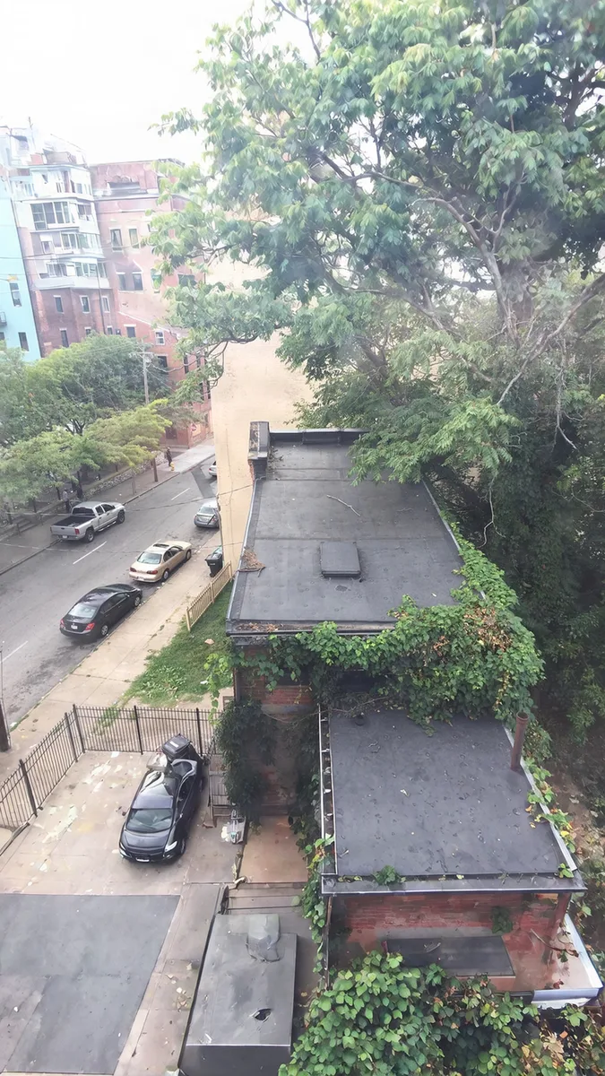 The same street in 9:16, with new sky above and new yard and sidewalk below